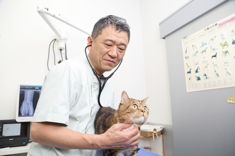 一般診療